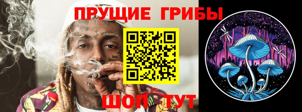 Псилоцибиновые грибы Psilocybine cubensis  Вход с VPN  Галлюциногенные грибы ЛСД  Карталы 