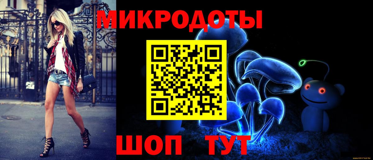 Галлюциногенные грибы Psilocybe Карталы
